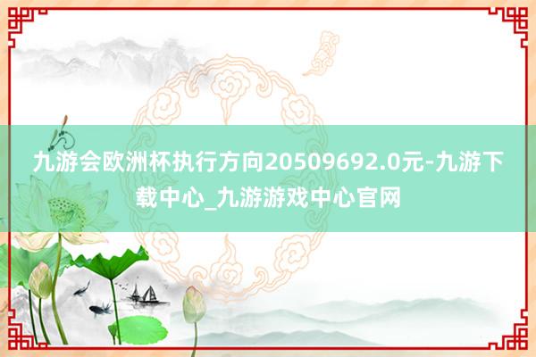 九游会欧洲杯执行方向20509692.0元-九游下载中心_九游游戏中心官网