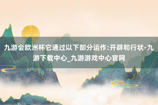 九游会欧洲杯它通过以下部分运作:开辟和行状-九游下载中心_九游游戏中心官网