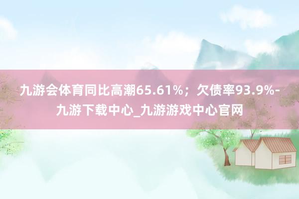 九游会体育同比高潮65.61%；欠债率93.9%-九游下载中心_九游游戏中心官网