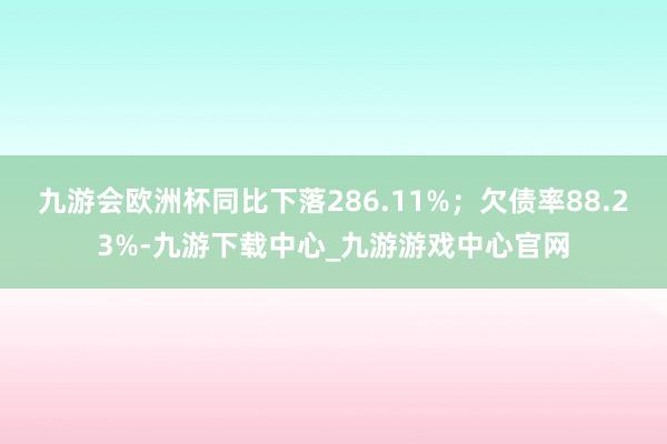 九游会欧洲杯同比下落286.11%；欠债率88.23%-九游下载中心_九游游戏中心官网