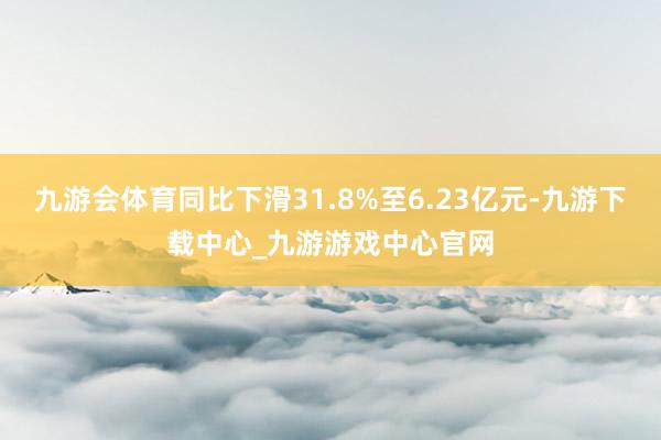 九游会体育同比下滑31.8%至6.23亿元-九游下载中心_九游游戏中心官网