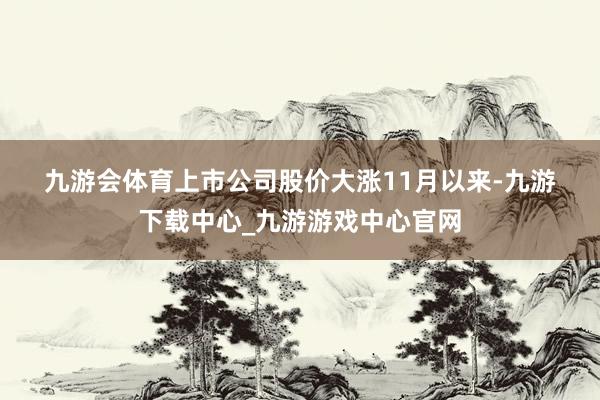 九游会体育　　上市公司股价大涨　　11月以来-九游下载中心_九游游戏中心官网