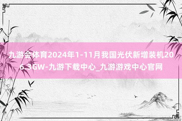 九游会体育2024年1-11月我国光伏新增装机206.3GW-九游下载中心_九游游戏中心官网