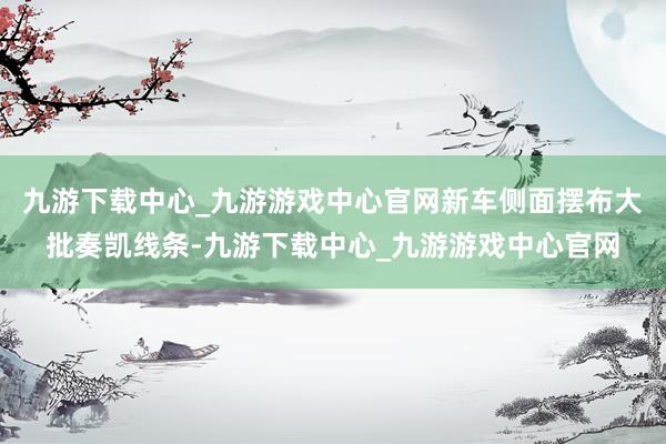 九游下载中心_九游游戏中心官网新车侧面摆布大批奏凯线条-九游下载中心_九游游戏中心官网