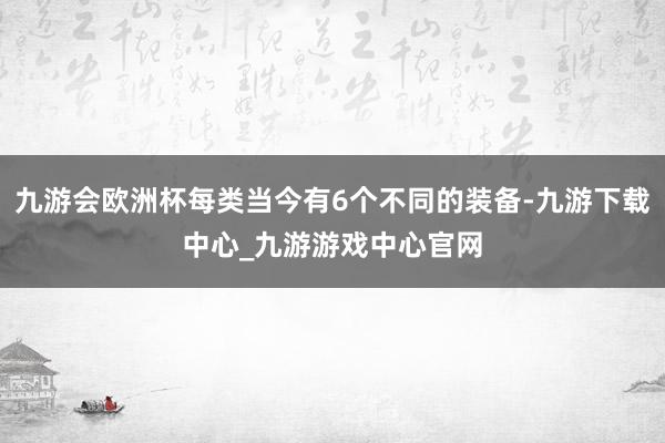 九游会欧洲杯每类当今有6个不同的装备-九游下载中心_九游游戏中心官网