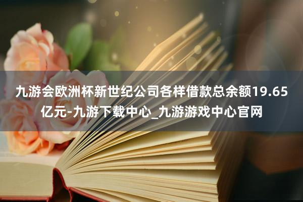 九游会欧洲杯新世纪公司各样借款总余额19.65亿元-九游下载中心_九游游戏中心官网